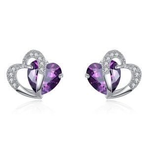 *ALLYN* Silver x Purple Fashion Stud Earrings